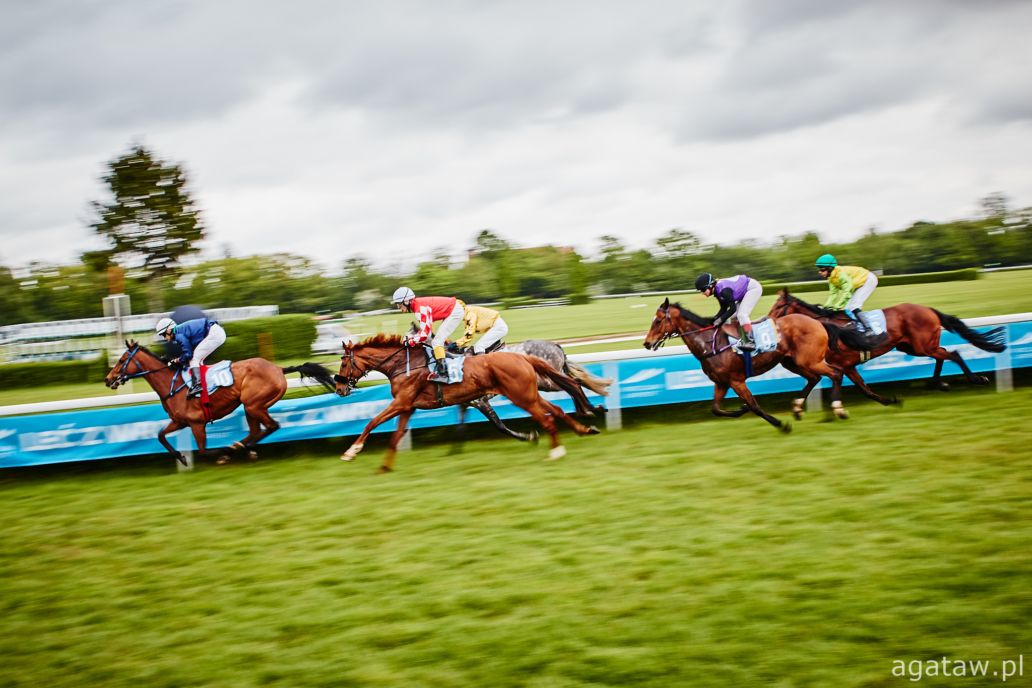 img: Memoriał Profesora Modrakowskiego i pierwsze dwulatki