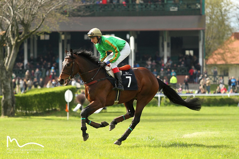 fot. Marta Nowakowska