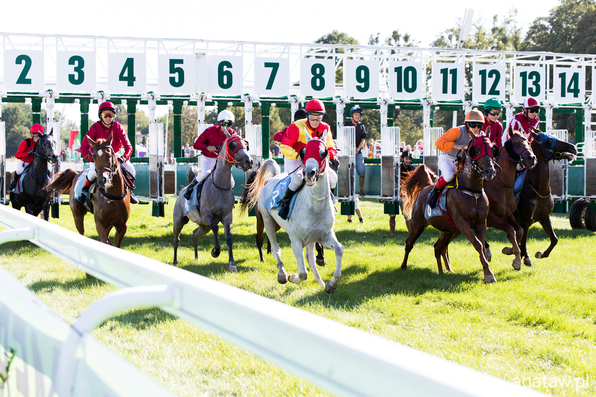 img: Shuri pokonał Trima, Pride z Nagrodą SK Wiśnicz