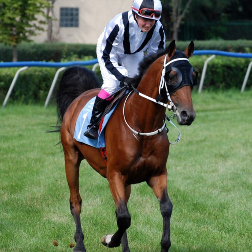 img: Dwa zwycięstwa w Warszawie