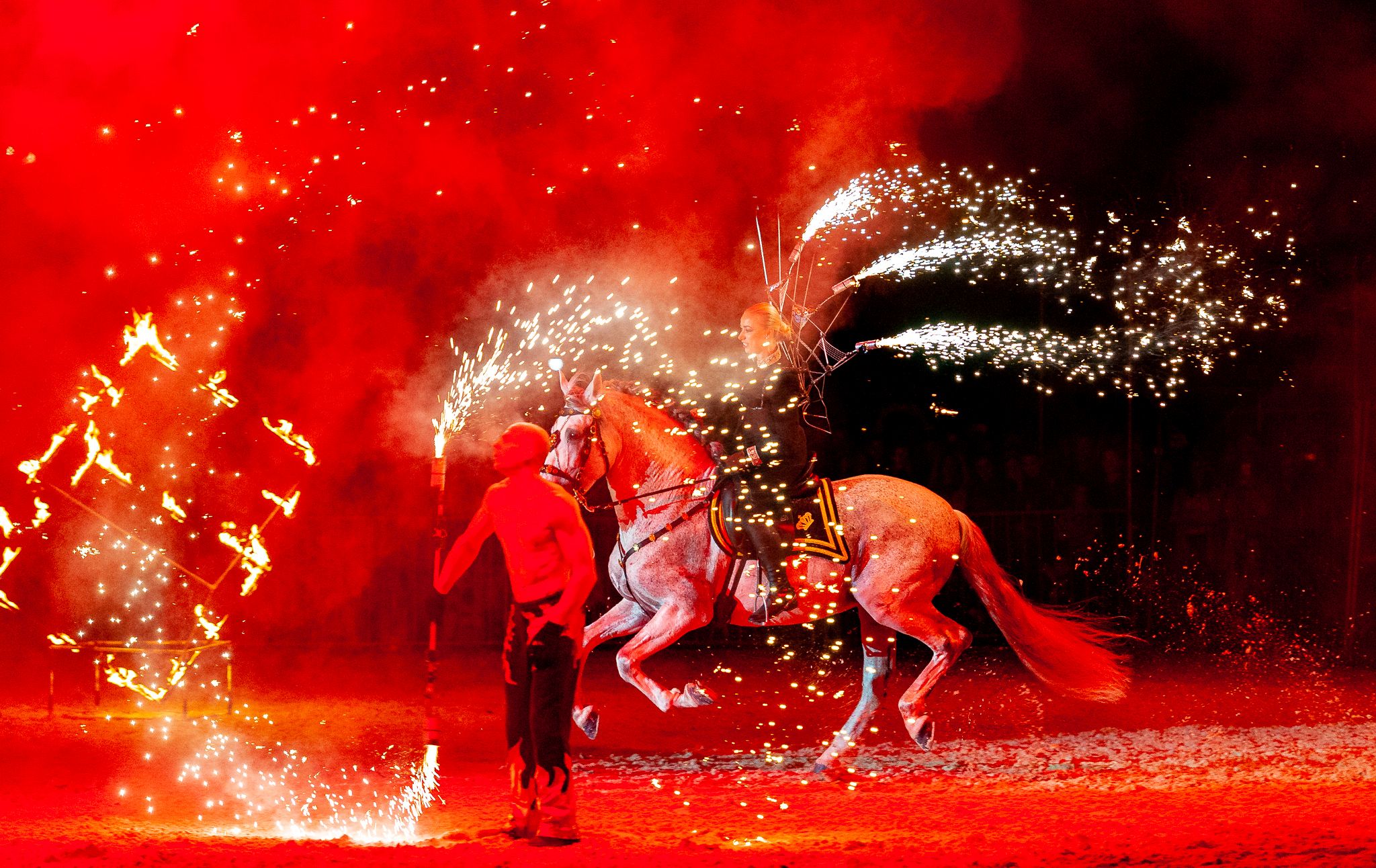 img: Europejski Festiwal Konny za nami