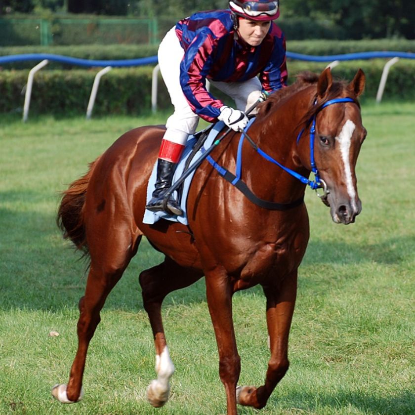 img: Dwa w sobotę, jedno w niedzielę