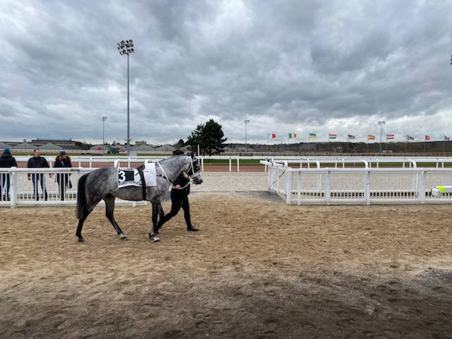 img: Fazza zwycięski