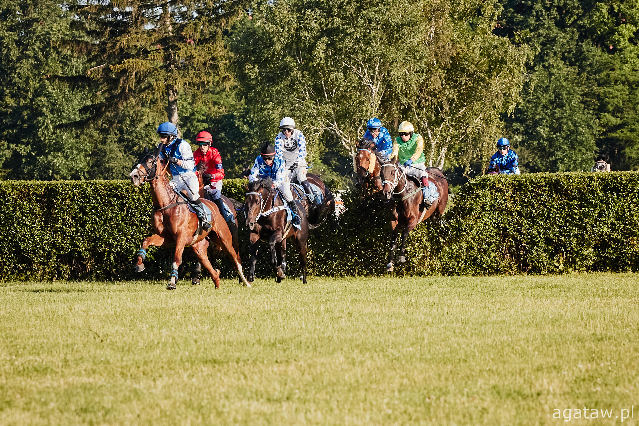 img: Generalna przymiarka