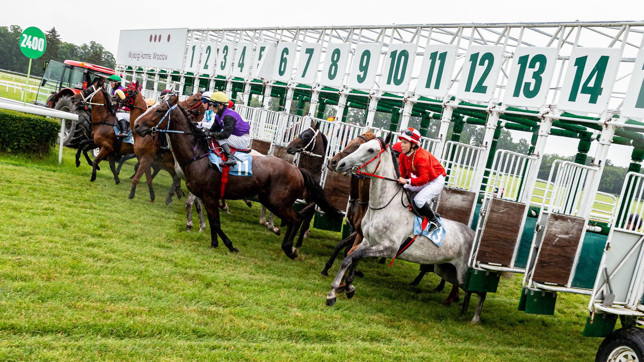 img: Derbowy weekend z partynickimi końmi