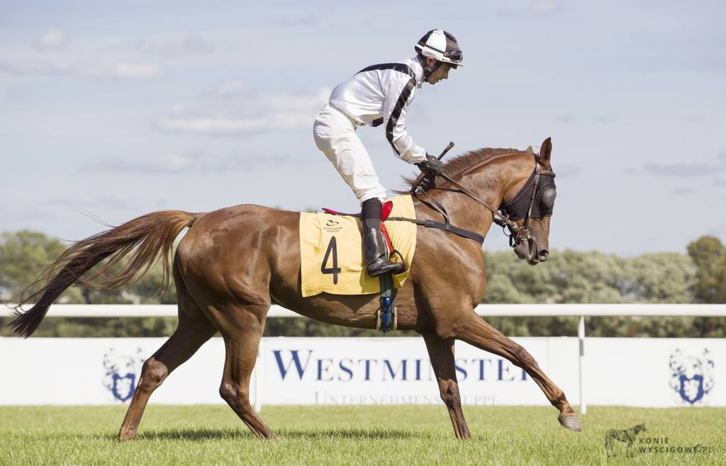 img: Anood wygrała Al Khalediah Poland Cup, Mayar z Nagrodą Białki