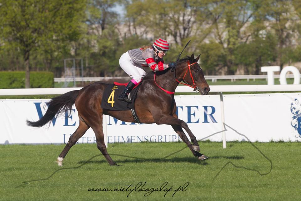 img: General Lady w Nagrodzie Europy