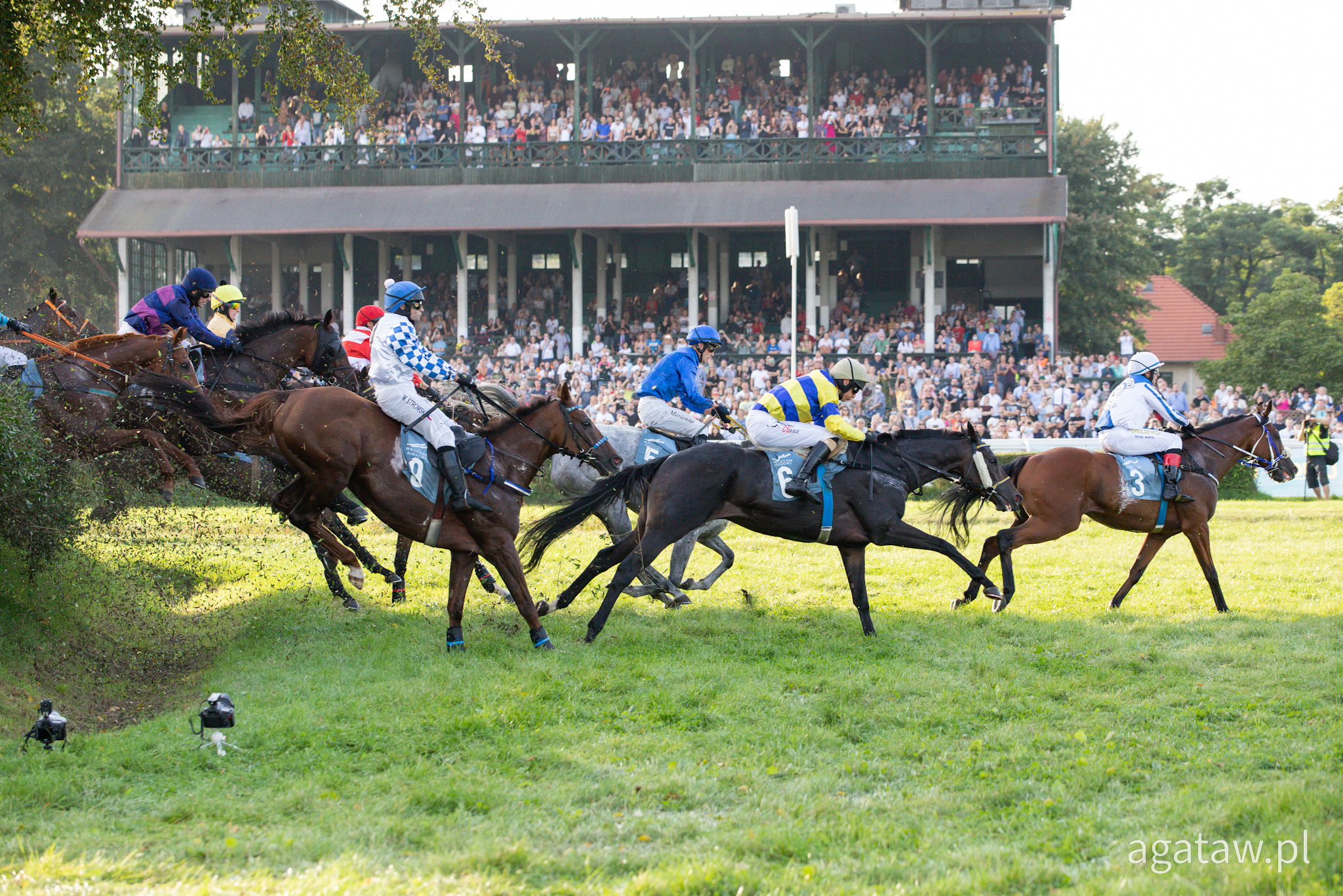 img: Wielkie nagrody dla faworytów