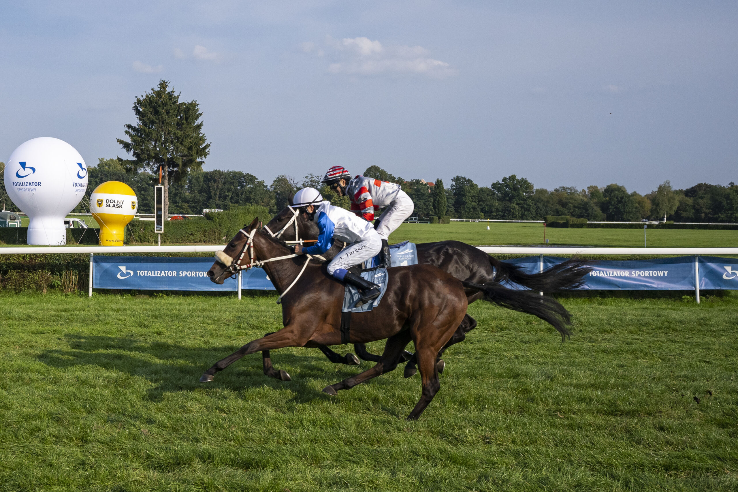img: Hefira Grand wygrała Memoriał Profesora Andrzeja Modrakowskiego