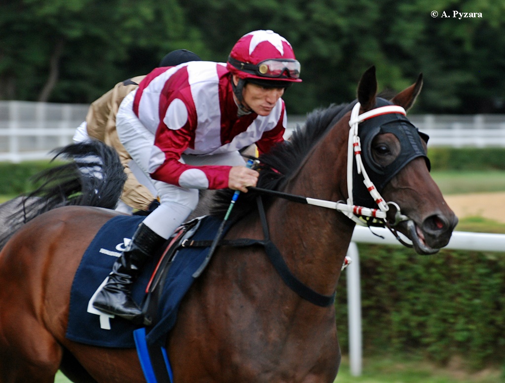 img: Weekend na Służewcu z partynickimi końmi