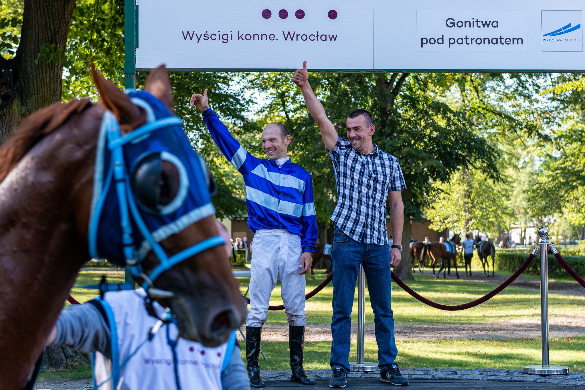 img: Siłą stajni starsze konie