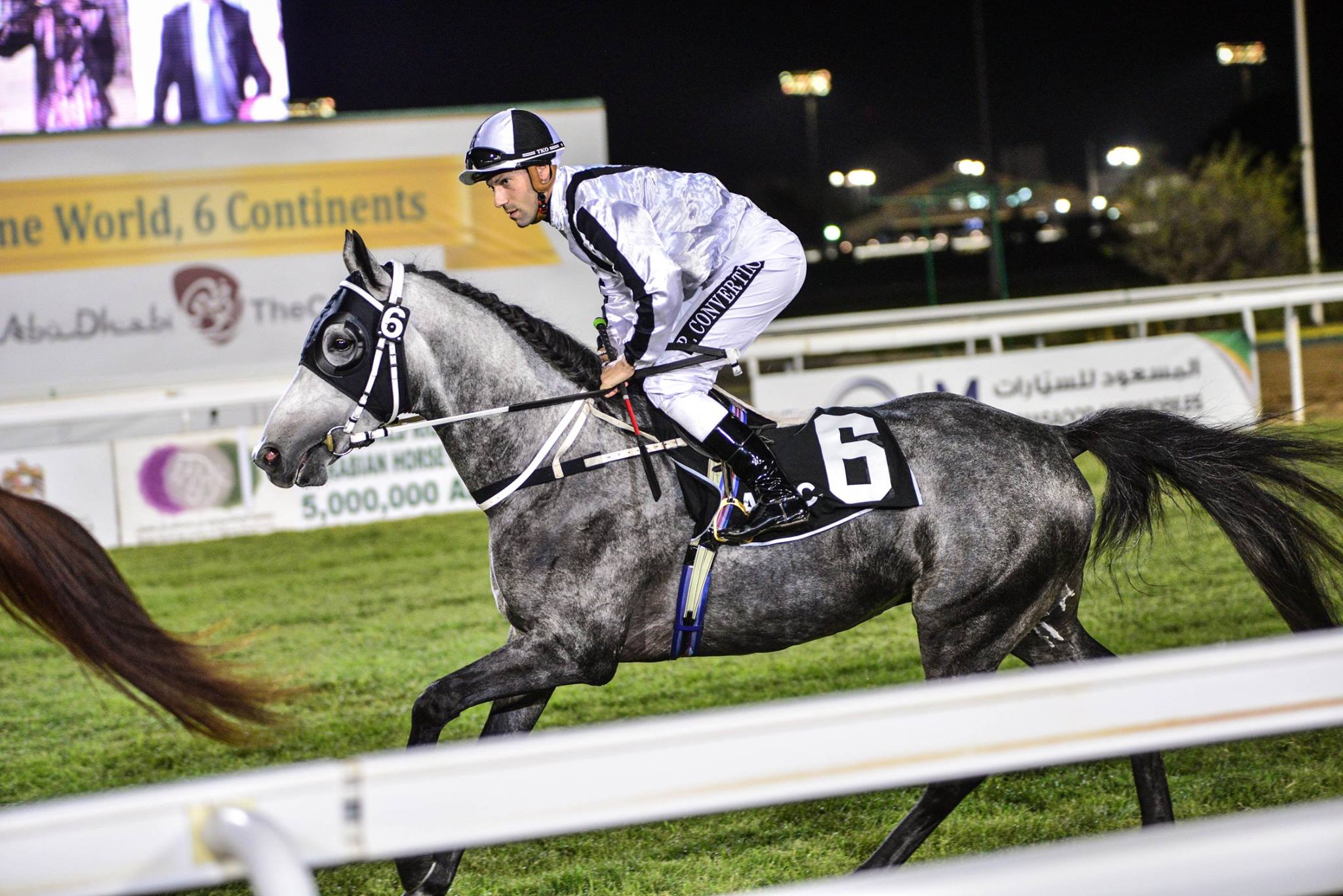 img: Dubai World Cup – w tym roku bez publiczności