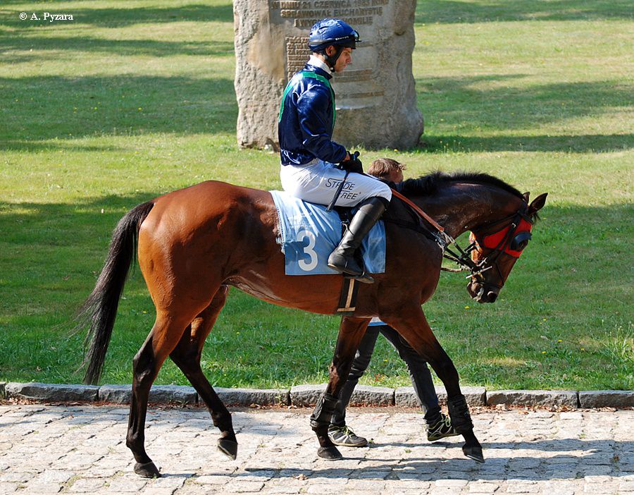 img: Haad Rin w Grande Steeple Chase Di Milano