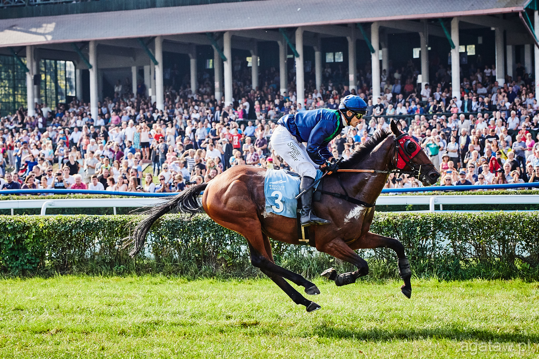 img: Haad Rin czwarty w Mediolanie