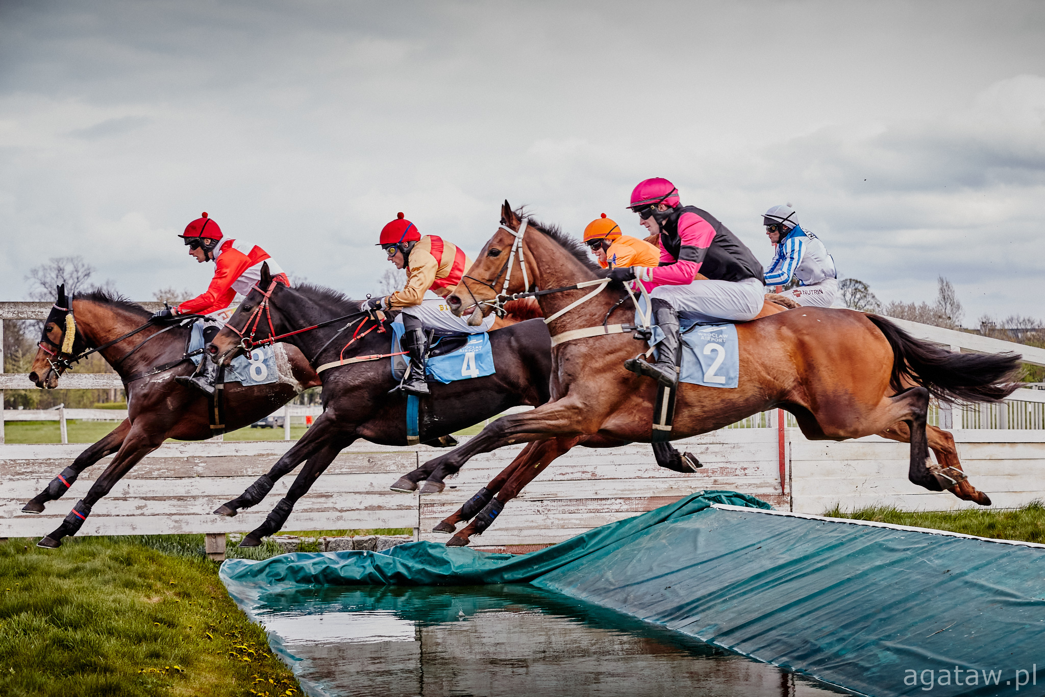 img: Nagroda Tiumena – pod dyktando faworyta?