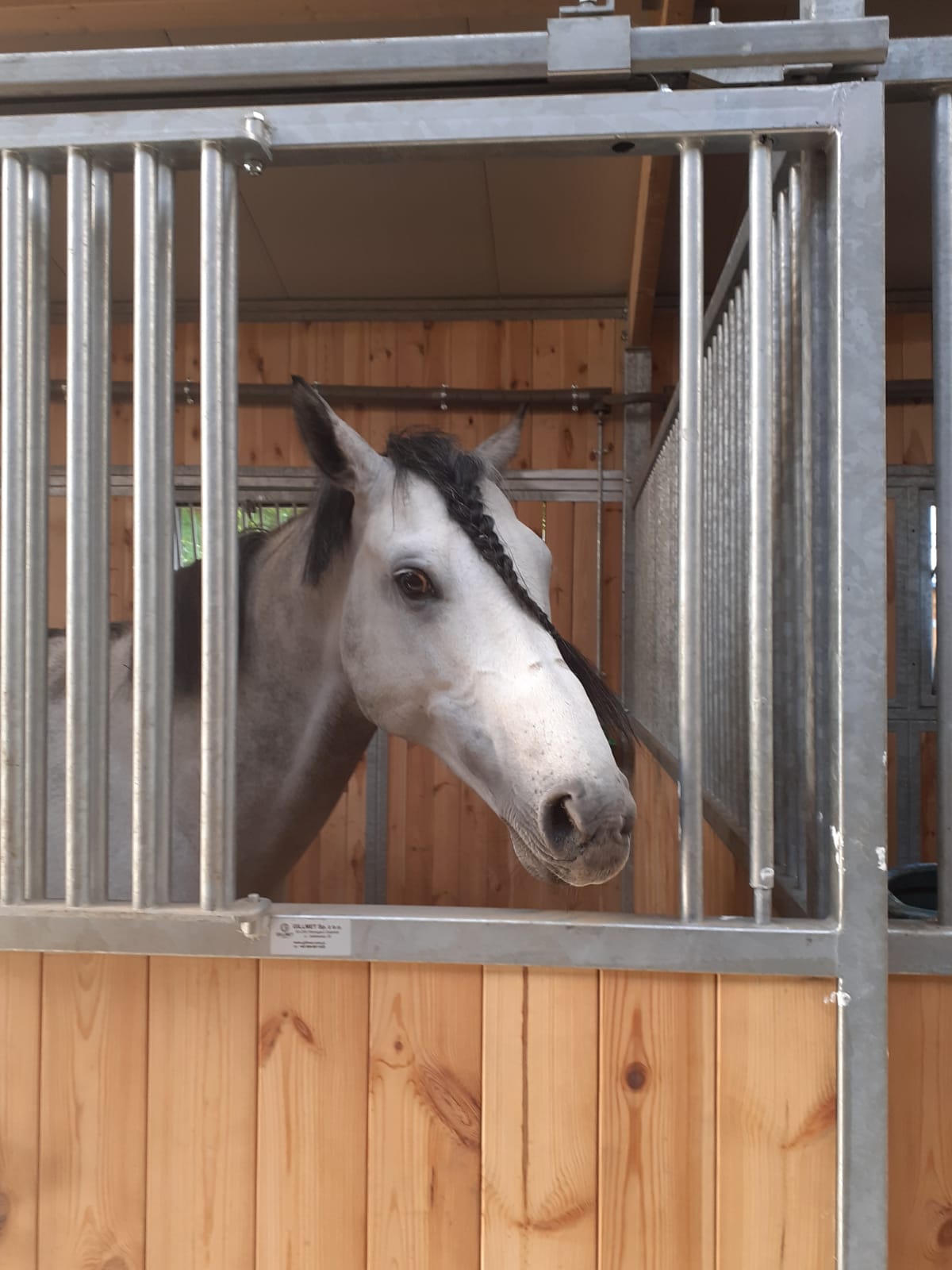 img: Fazza Al Khalediah znów na Partynicach