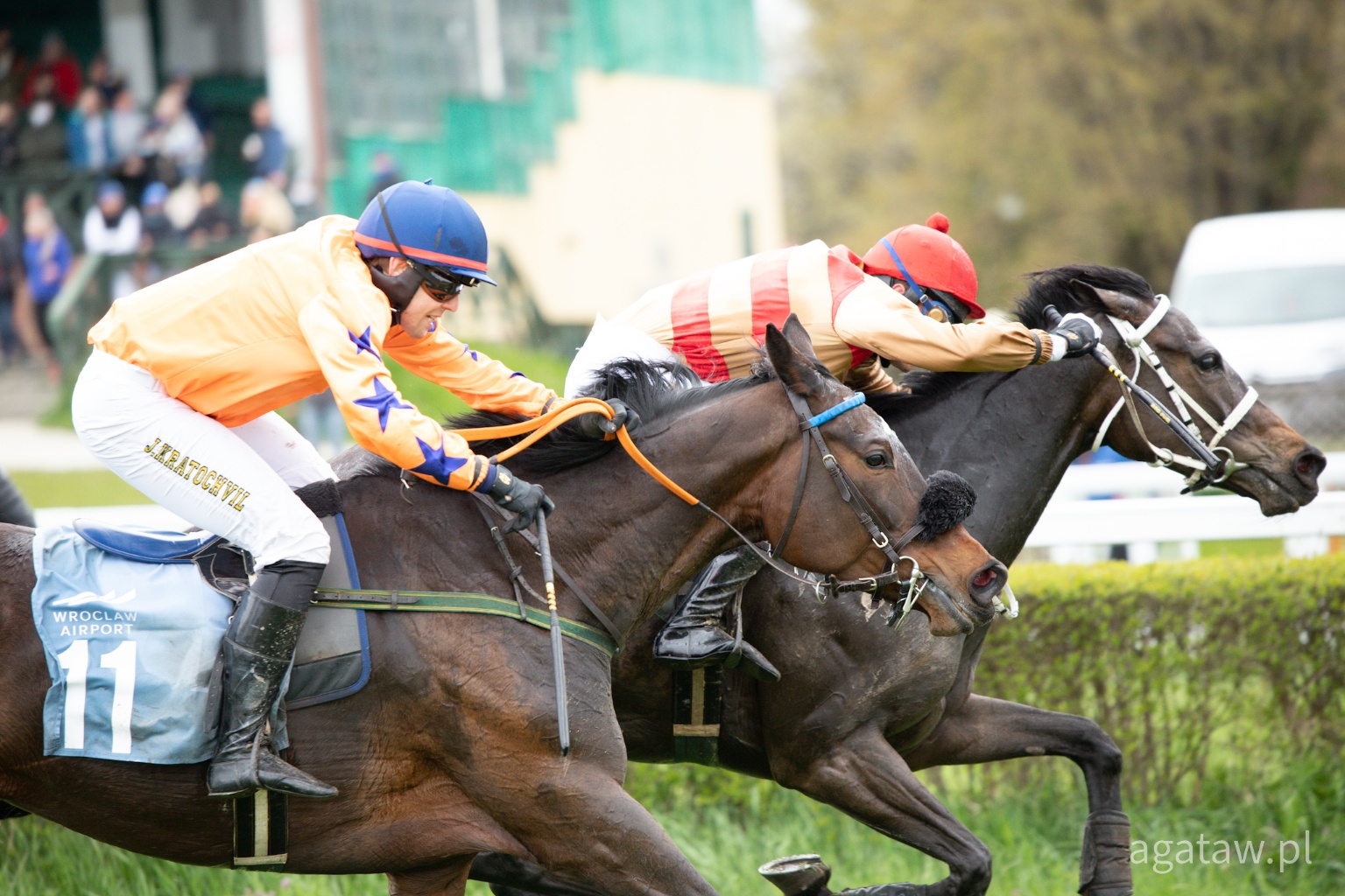 img: Sensacja w Nagrodzie Otwarcia Sezonu Przeszkodowego