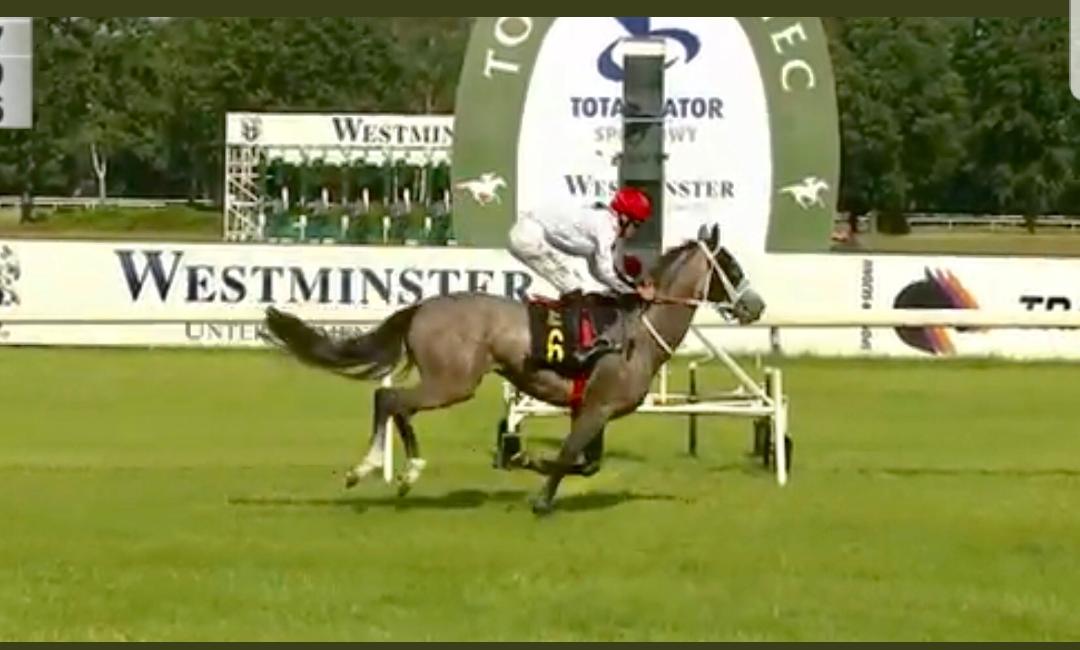 img: Drugi dzień na Służewcu i dwa zwycięstwa