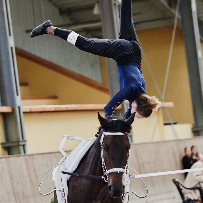 img: Zagraniczne sukcesy partynickiej sekcji woltyżerki