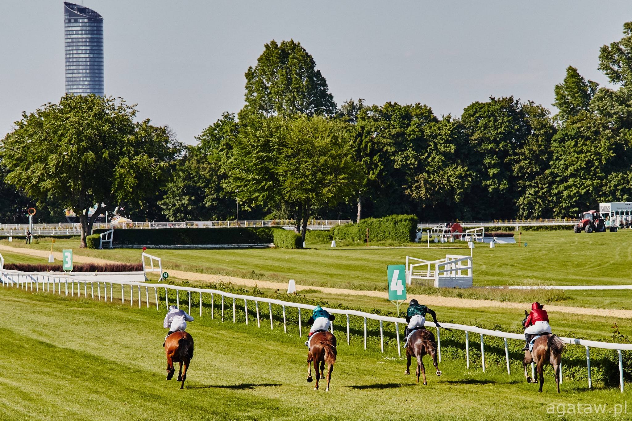 img: Paradise Hill z Nagrodą Soliny, Suny du Loup z Nagrodą Errlisa.