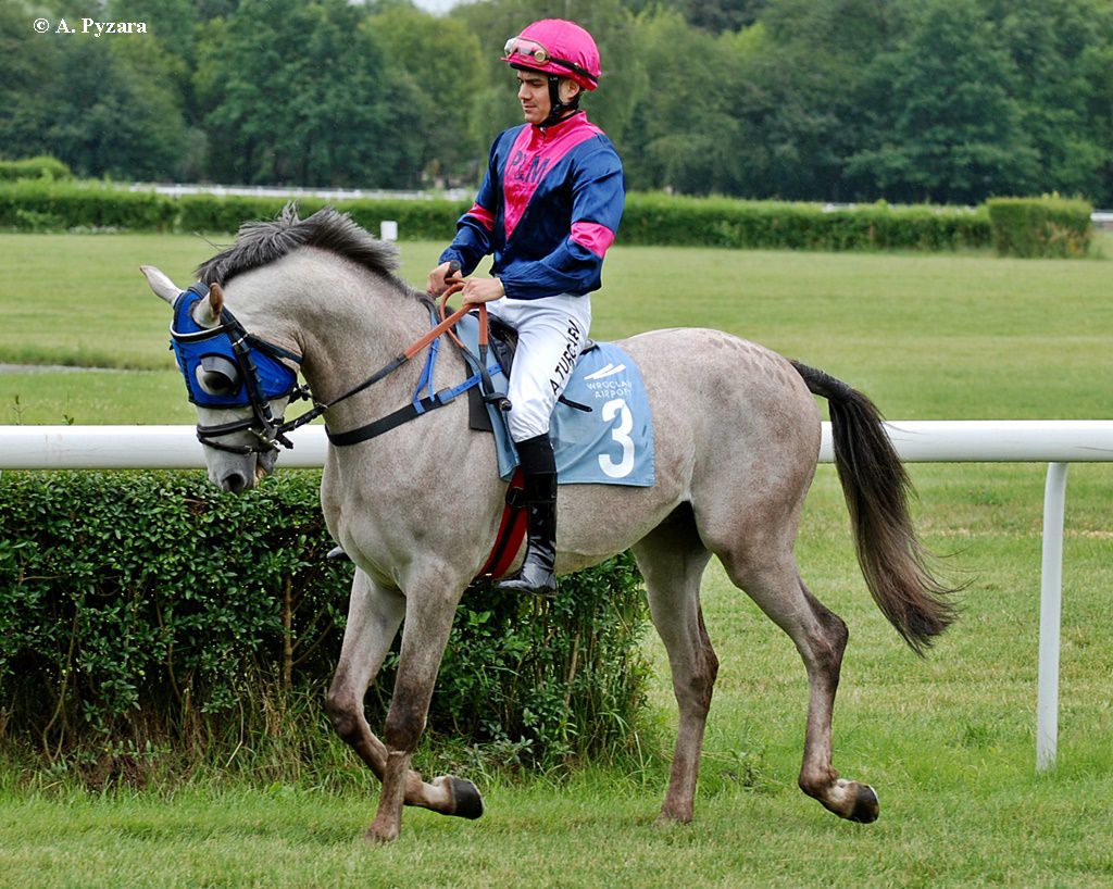 img: Niesamowity finisz i zwycięstwo Apollo Del Sol w Memoriale Stanisława Sałagaja