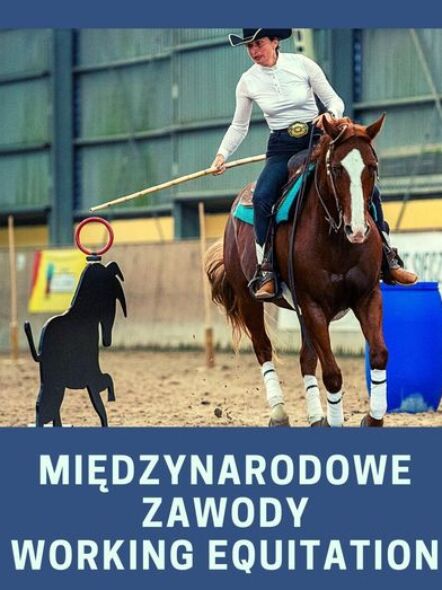 img: Wroclove Międzynarodowe Zawody Working Equitation