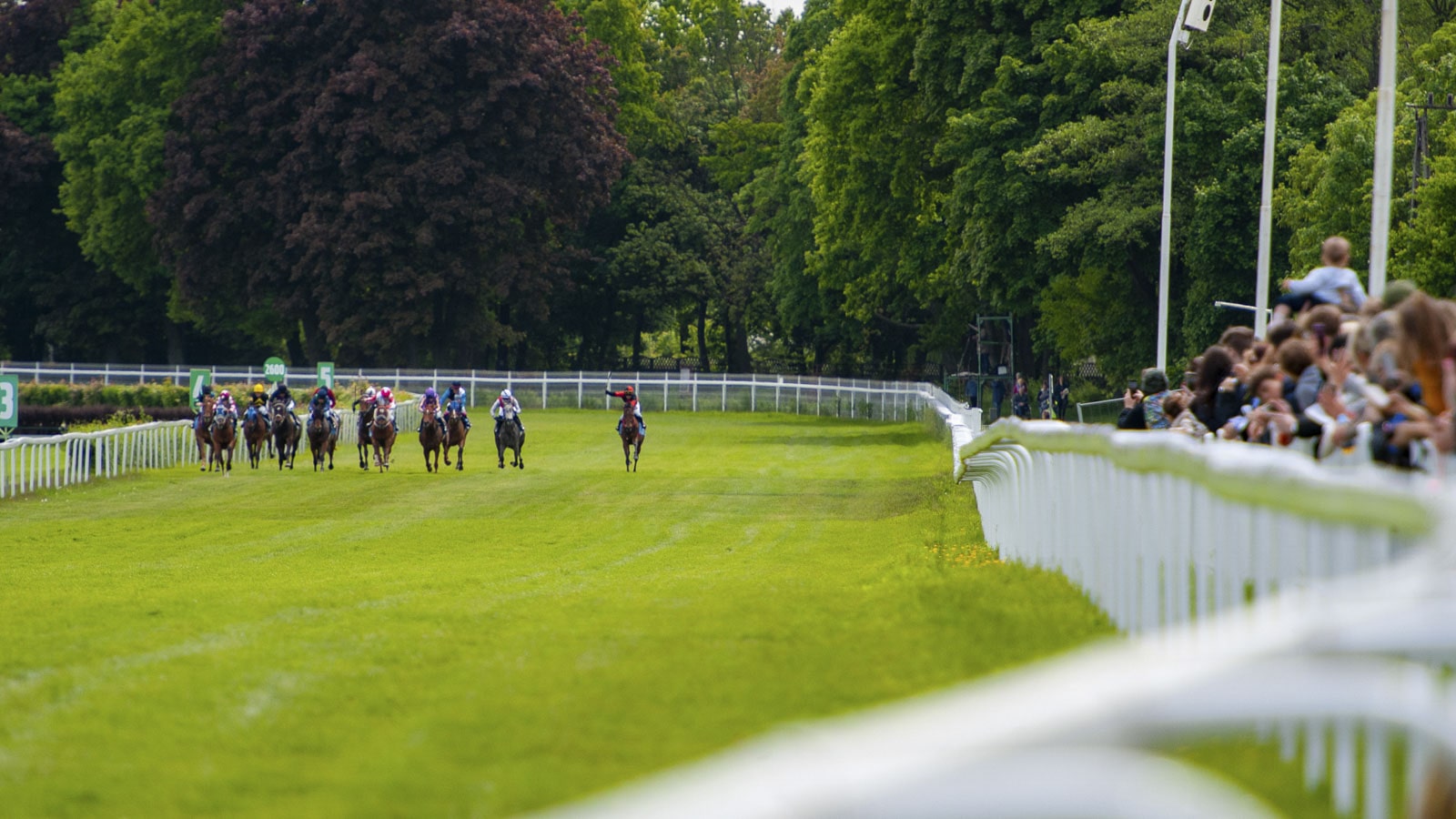 img: Czeskie Derby z polskim akcentem