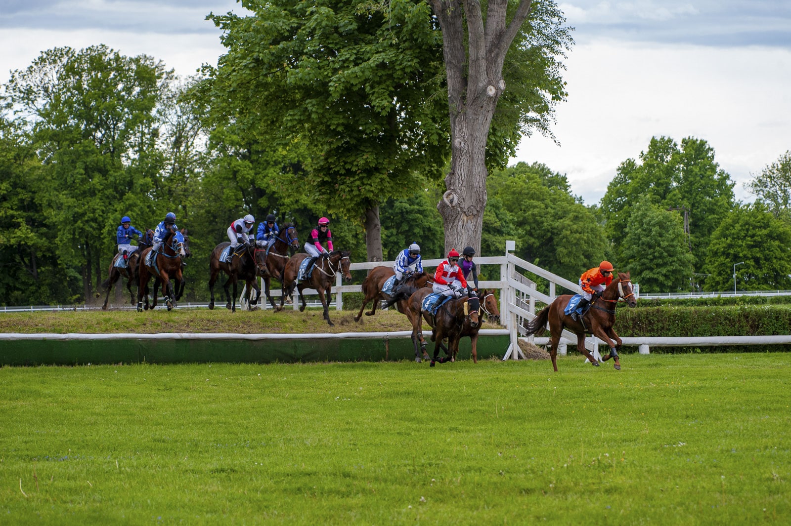 img: Mayar Al Khalediah w Chantilly, One Way Ticket w Compiegne
