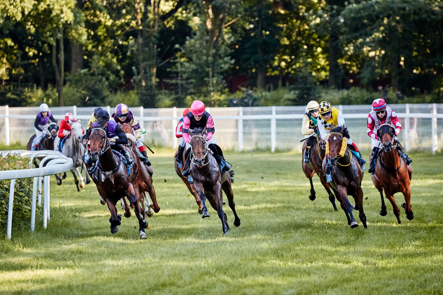 img: Nieszczęśliwy wypadek