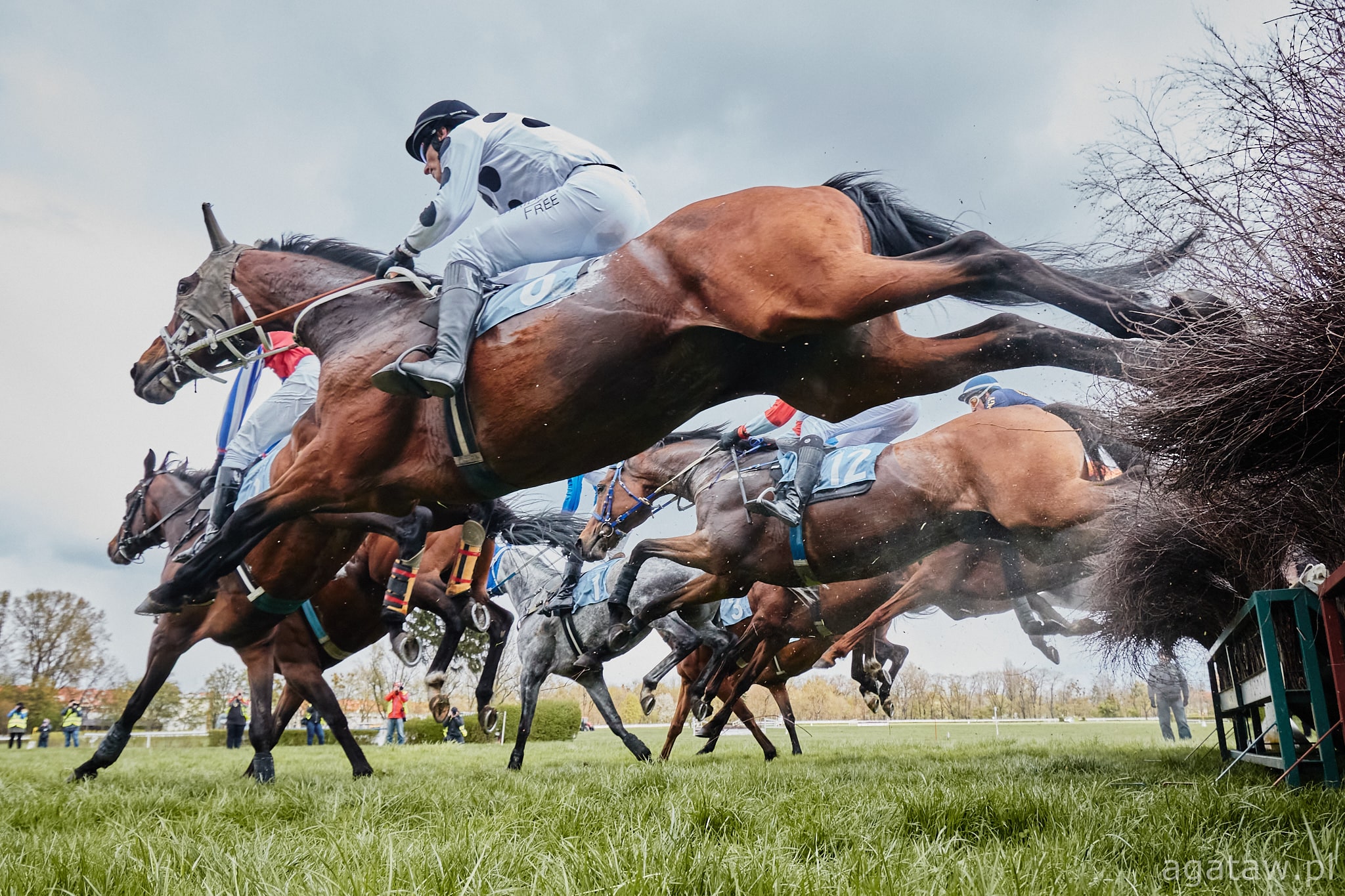 img: Kontrargument minimalnie drugi