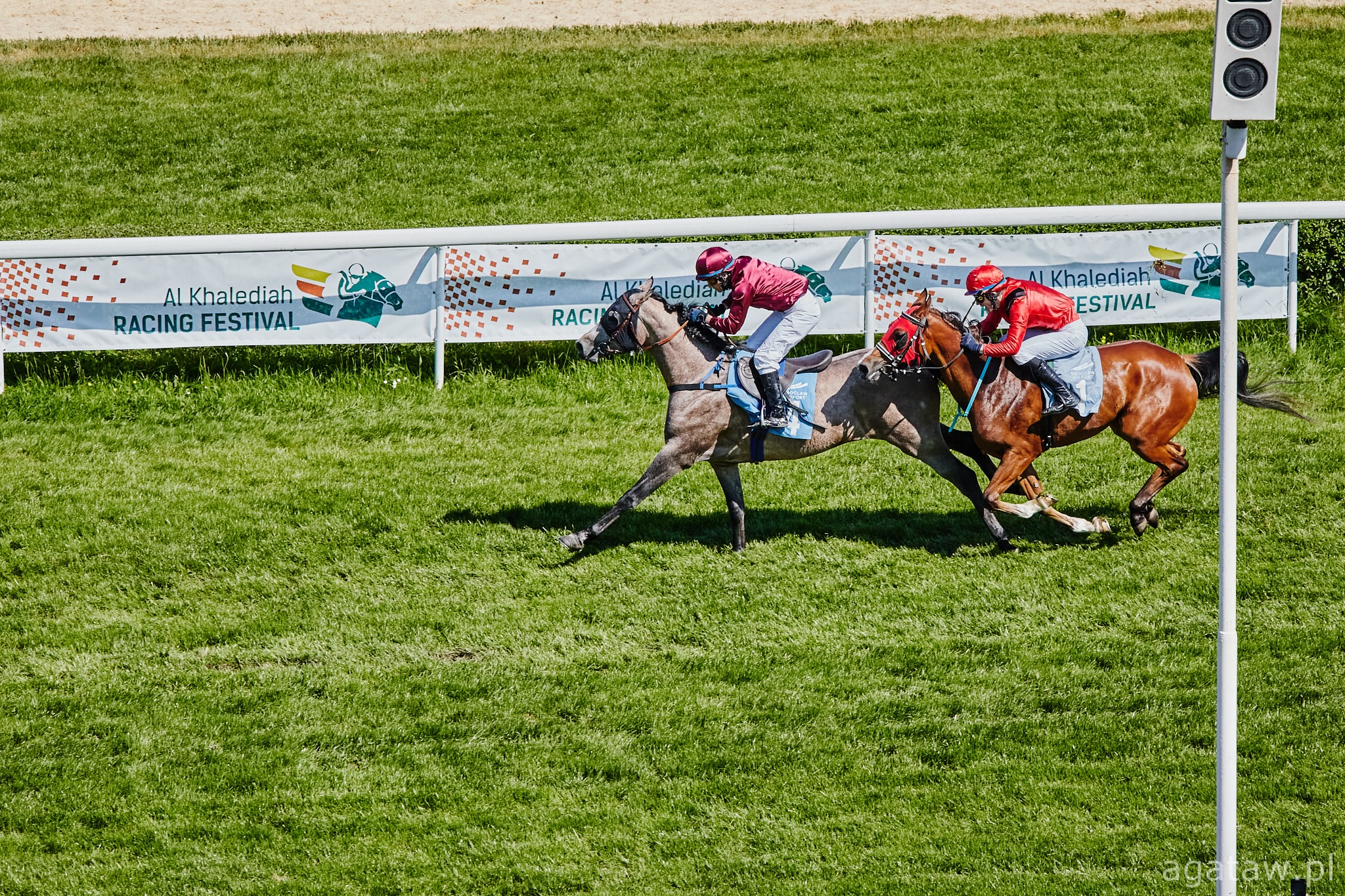 img: Araby w głównych rolach