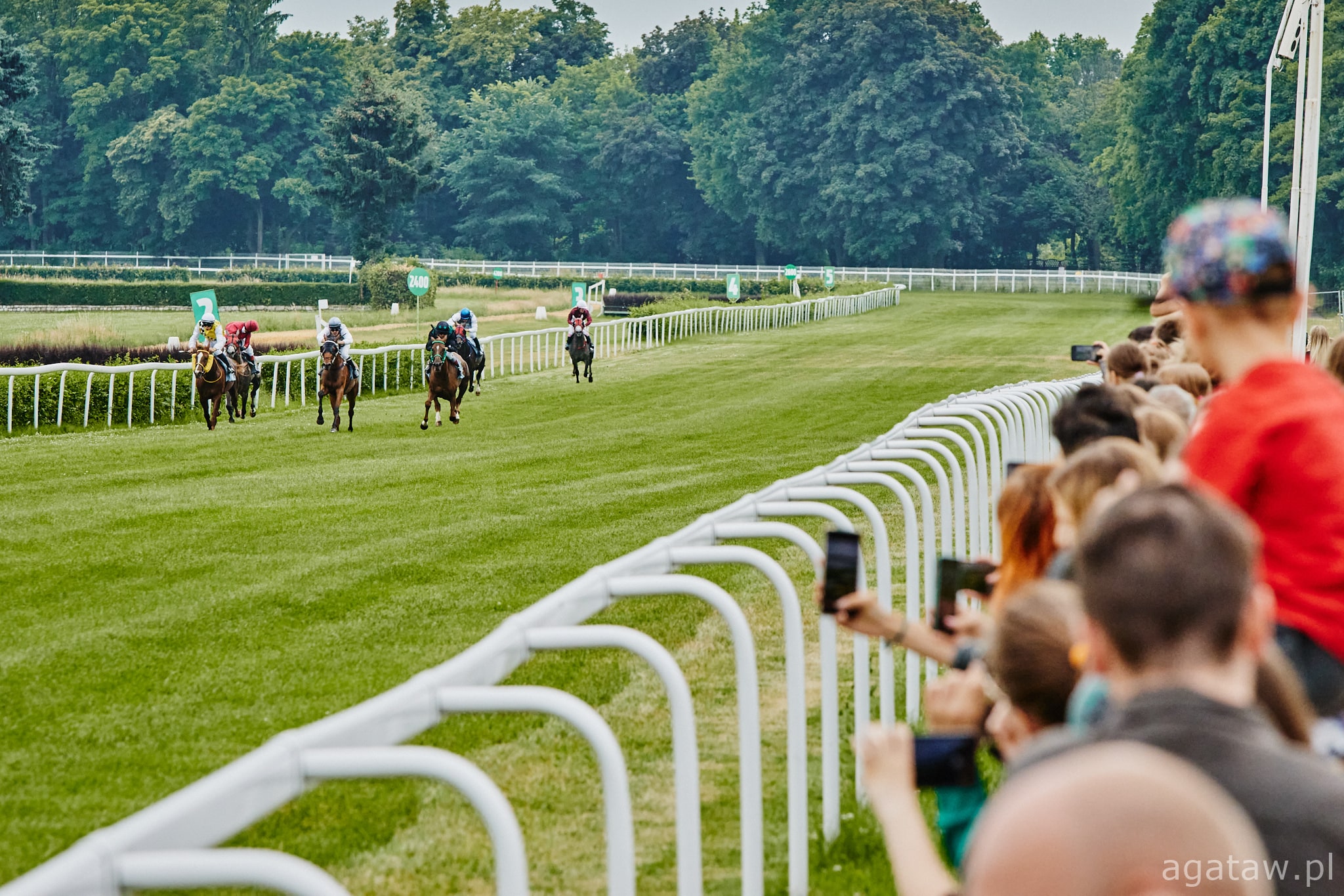 img: Wyścigowa sobota w Sopocie