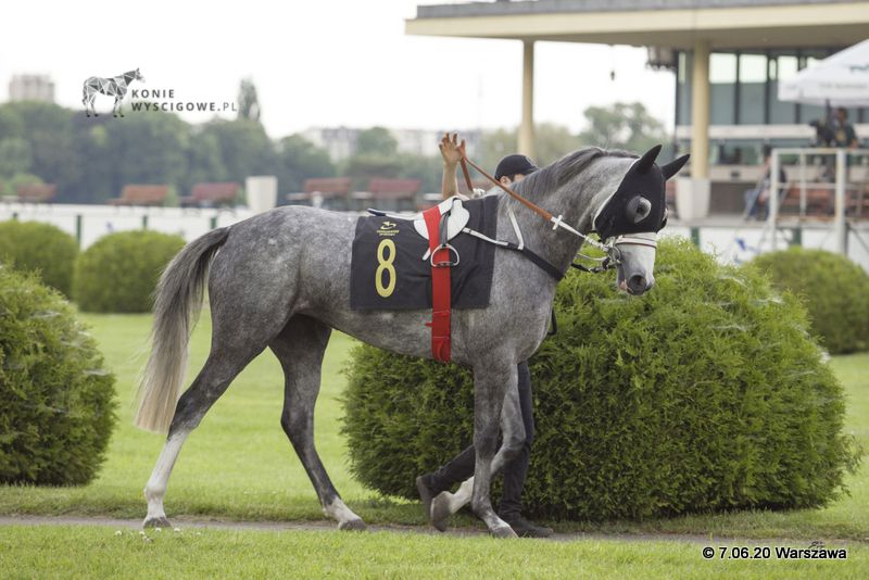 img: Anwar Al Khalediah druga w Sopocie