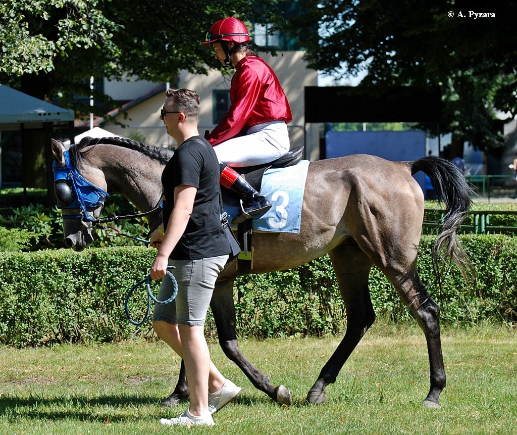 img: Arabskie Derby z partynickim Echaronem