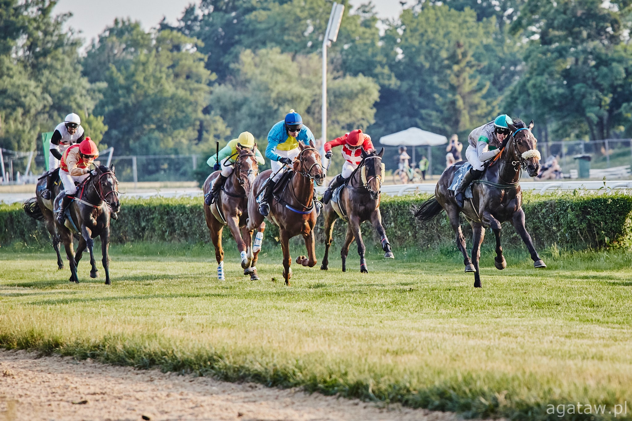 img: Czeski test przed Wielką Wrocławską
