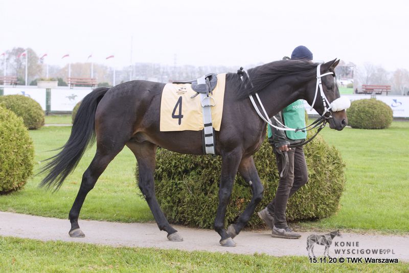 img: Rasmy Al Khalediah wygrał, Mayar Al Khalediah szósty