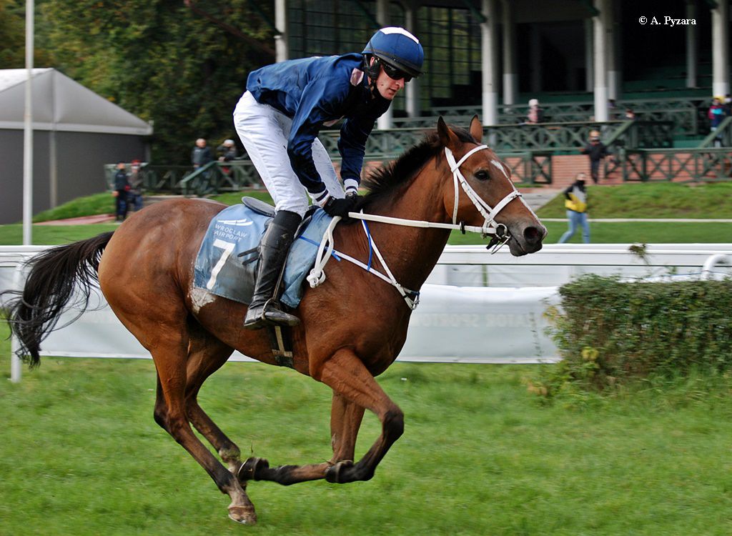 img: Spasski w Bad Harzburgu trzeci