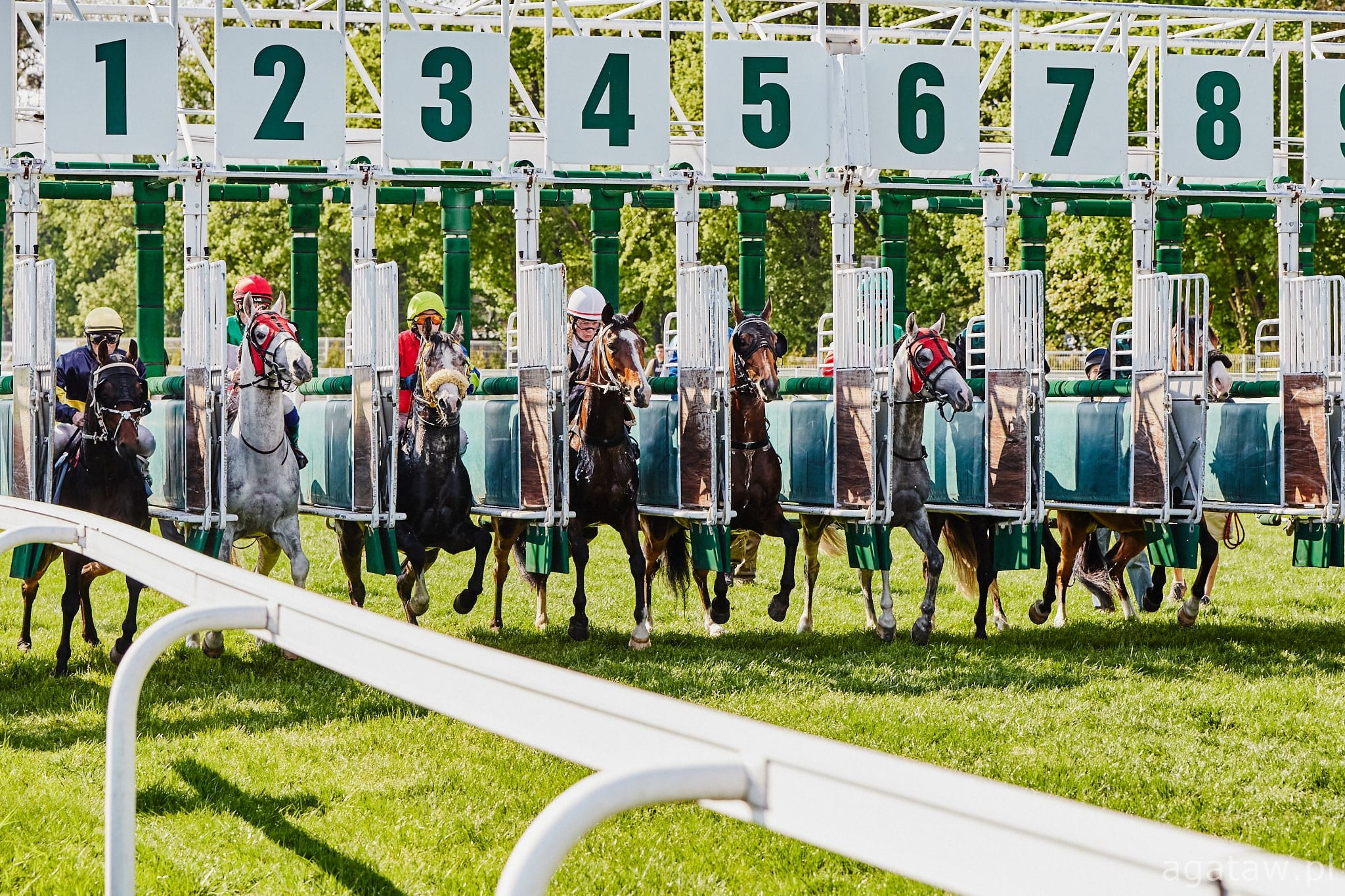 img: Drugie miejsce i udany debiut