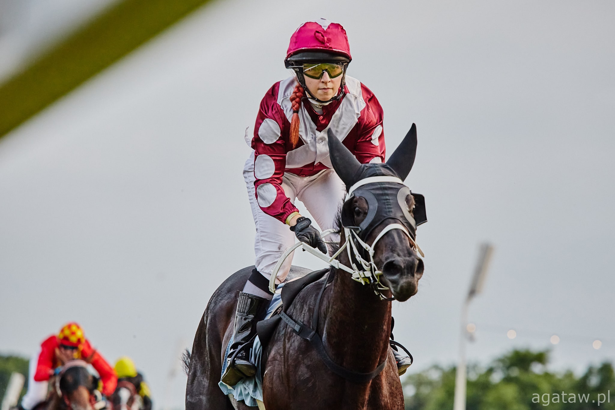 img: Służewiec: zwycięstwa Hyderabadi i Awrad Al Khalediah