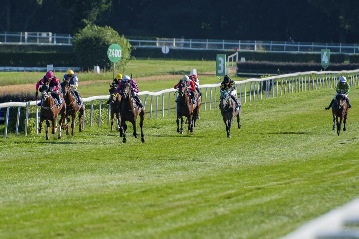 img: Paradise Hill trzecia w Nagrodzie SK Krasne