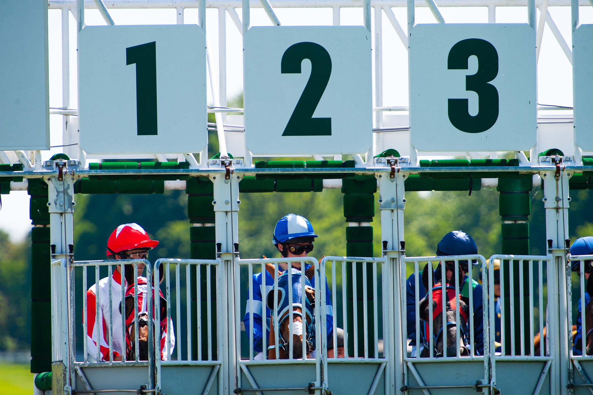 img: Paradise Hill i Colonelle z Partynic kontra Nania z Niemiec i Saigon Icon z Czech