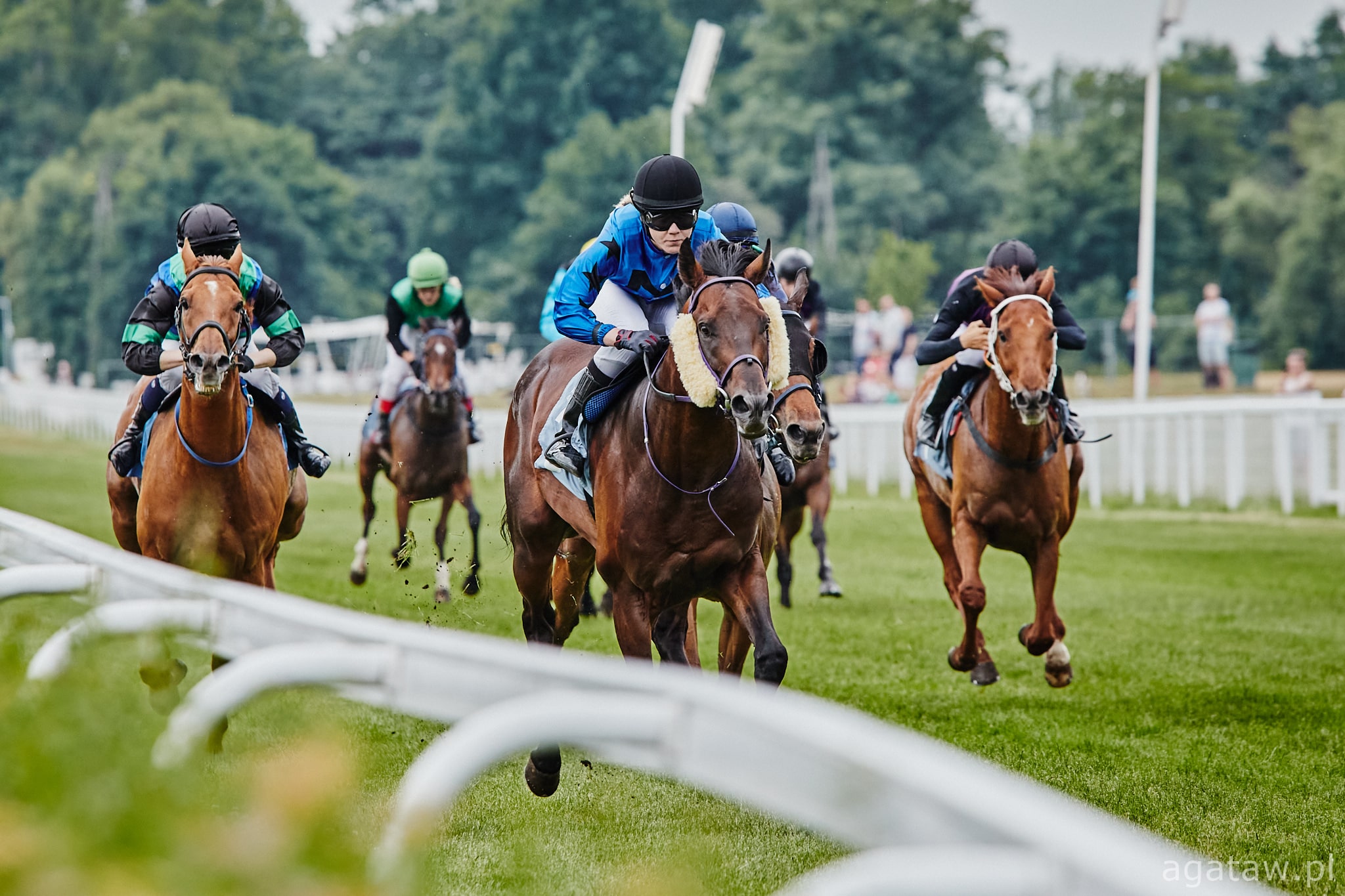 img: Czołówka czempionatu młodych jeźdźców powalczy o punkty