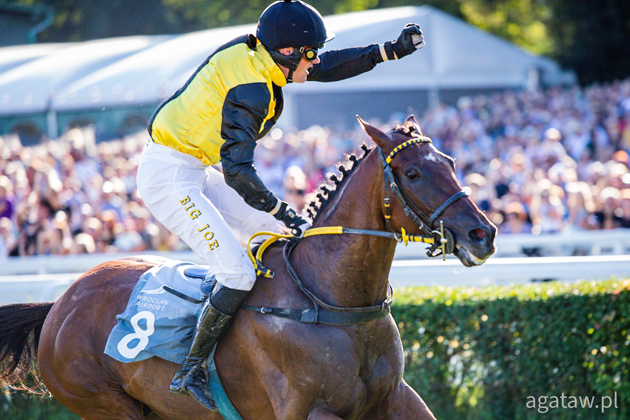 img: Brunch Royal wygrał Wielką Wrocławską