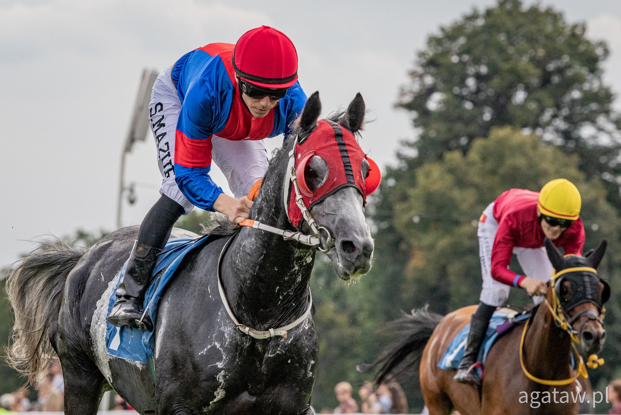 img: Memoriałowe zwycięstwo Naziha Di Lupo