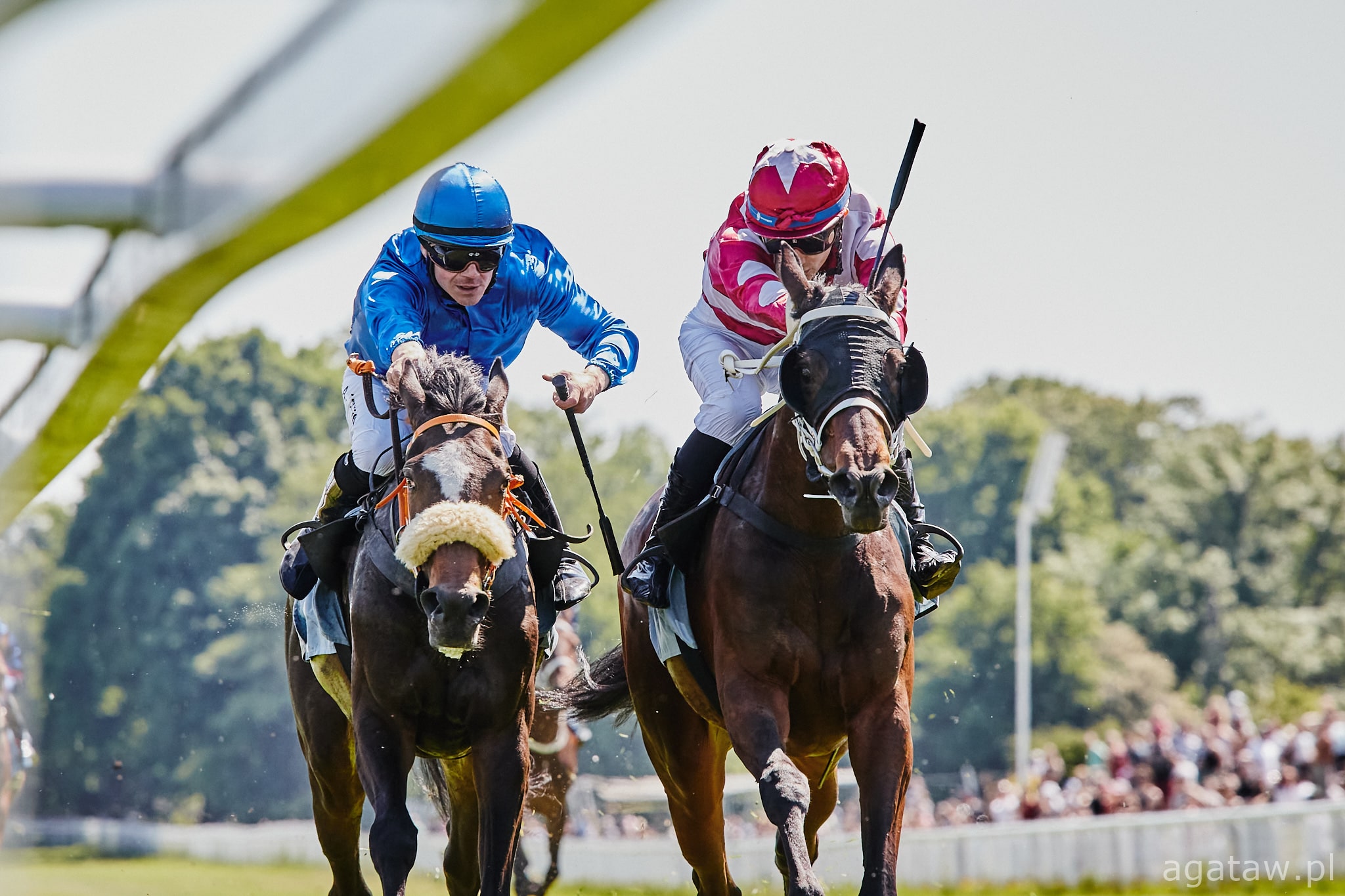 img: Dobry występ Gabrielli Essence