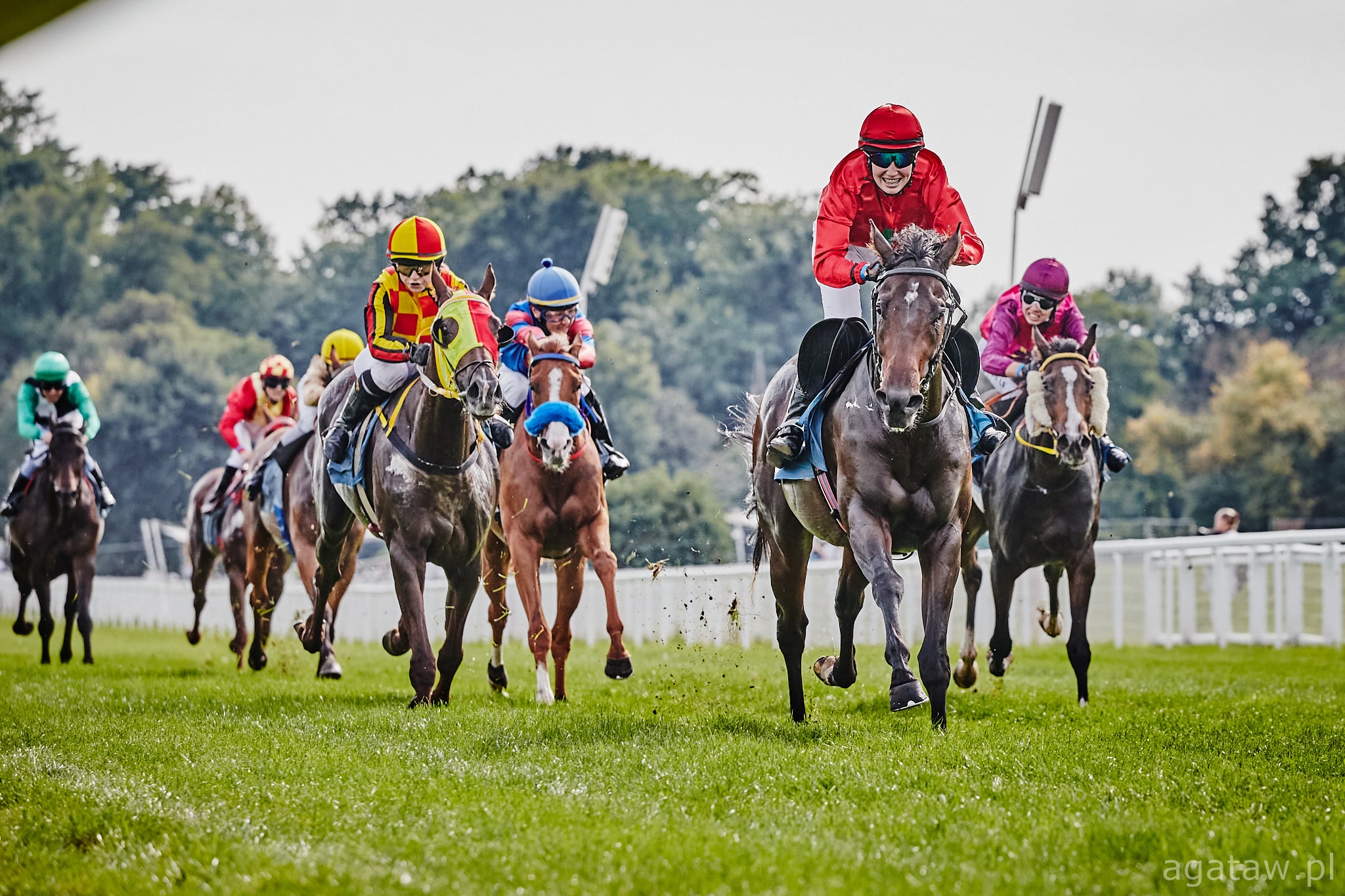 img: Rywalizacja w Czempionacie Młodych Jeźdźców wchodzi w decydującą fazę