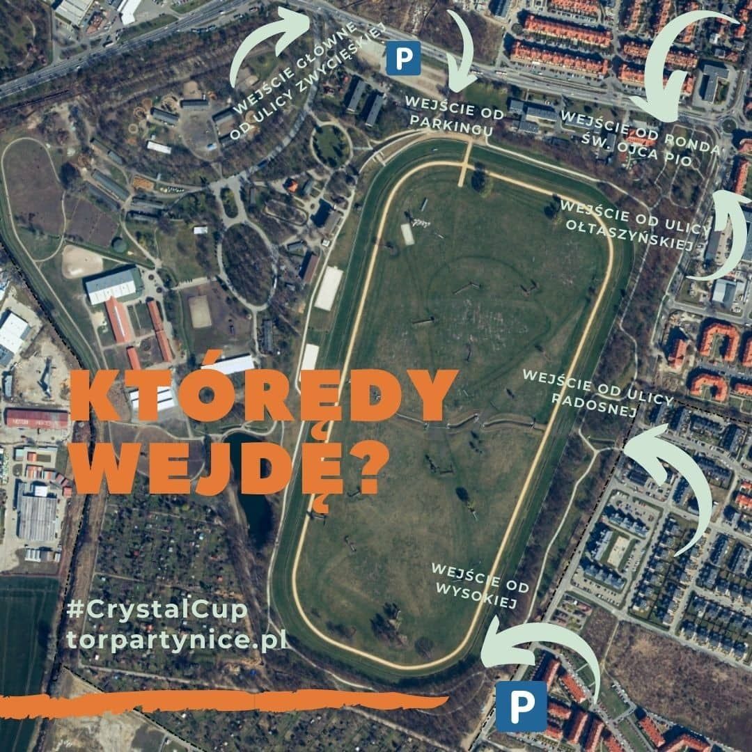 img: Crystal Cup – informacje praktyczne