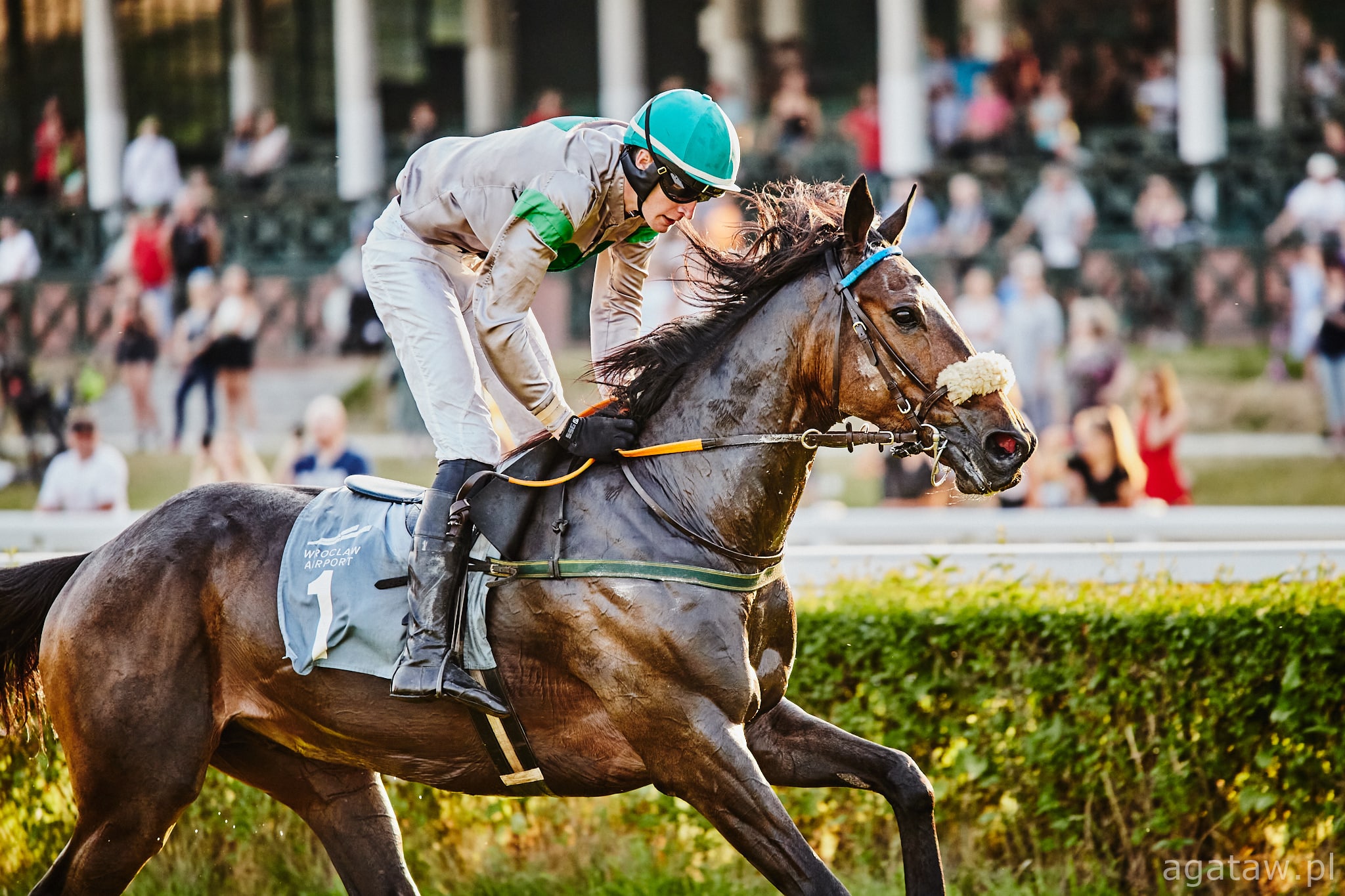 img: Najlepsi w sezonie 2021: Pavel Slozil – czempion jeźdźców przeszkodowych