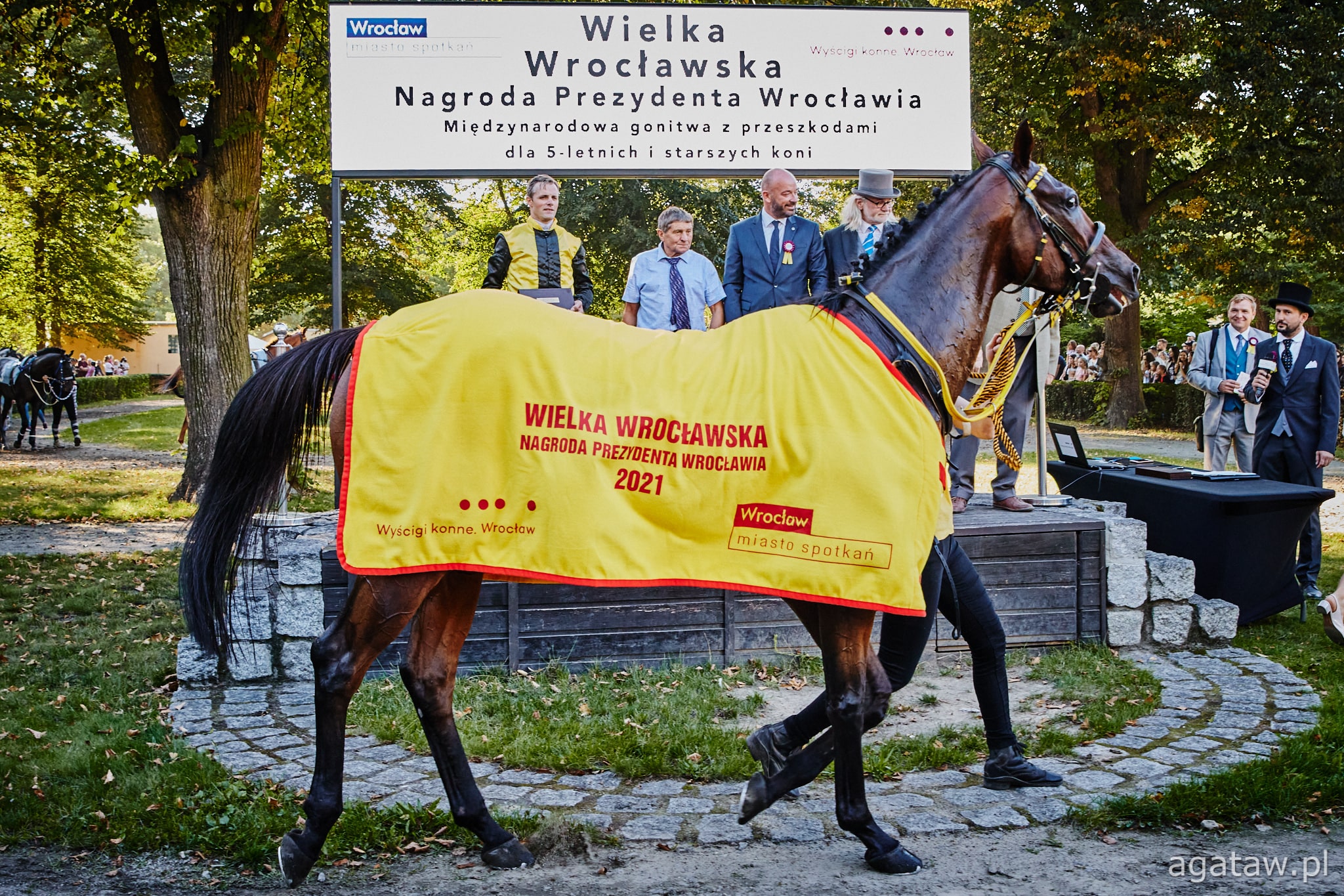 img: Najlepsi w sezonie 2021: Brunch Royal – Koń Roku