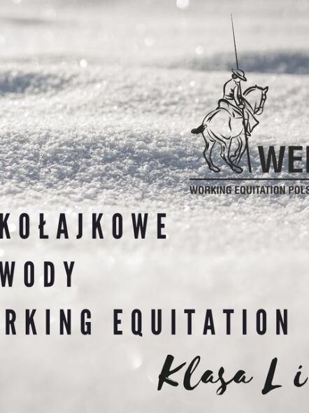 img: Wroclove Międzynarodowe Zawody Working Equitation